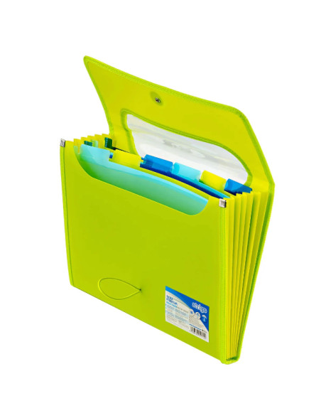 Folder VFILE STRIGO A4 with 6 dividers