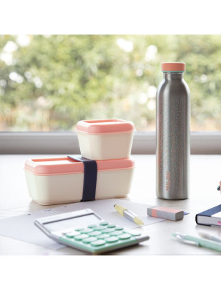 Thermal bottle 591 ml Silver